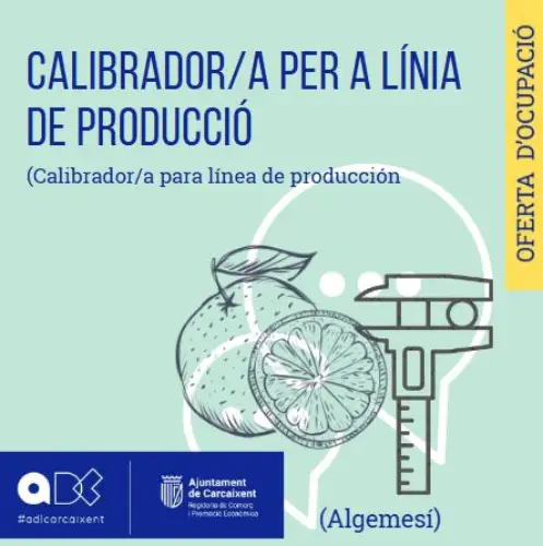 Calibrador/a per a línia de producció (Algemesí) (Ref. 067)