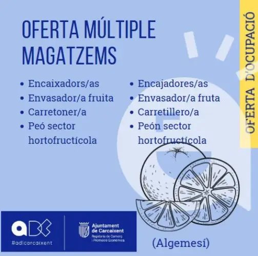Oferta Múltiple Magatzems (Algemesí)(Ref.106)