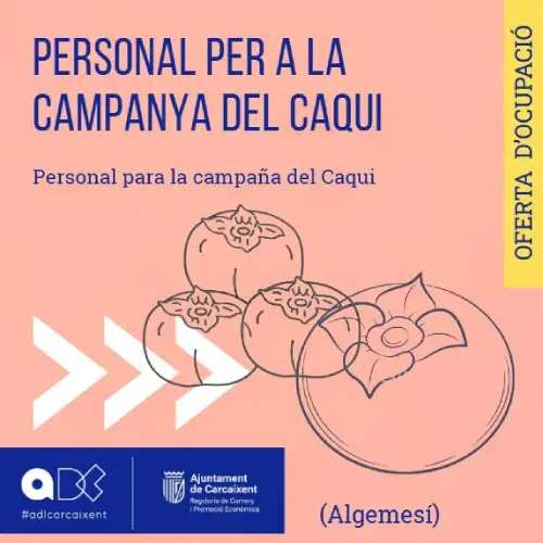 PERSONAL PER A LA CAMPANYA DEL CAQUI (Algemesí) (Ref.093)
