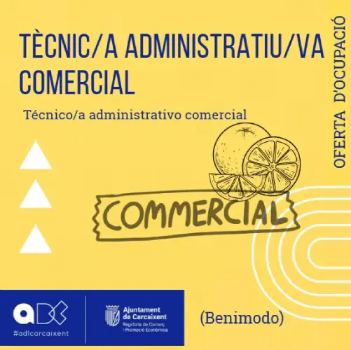 Tècnic/a Administratiu/va Comercial (Benimodo) (Ref.188)